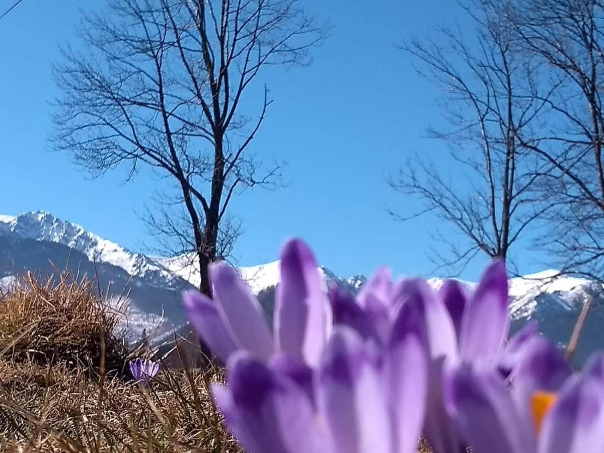 Apartament Akuratny * Zakopane